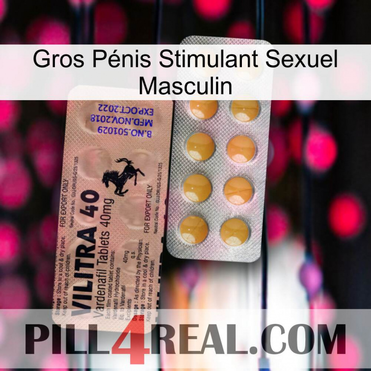 Gros Pénis Stimulant Sexuel Masculin 41